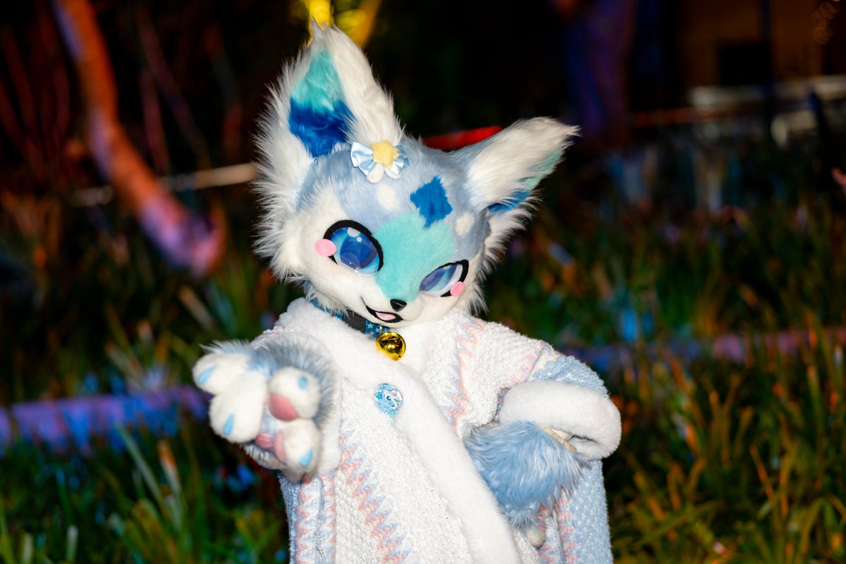 深海蓝蓝鱼w!🐬 tweet media