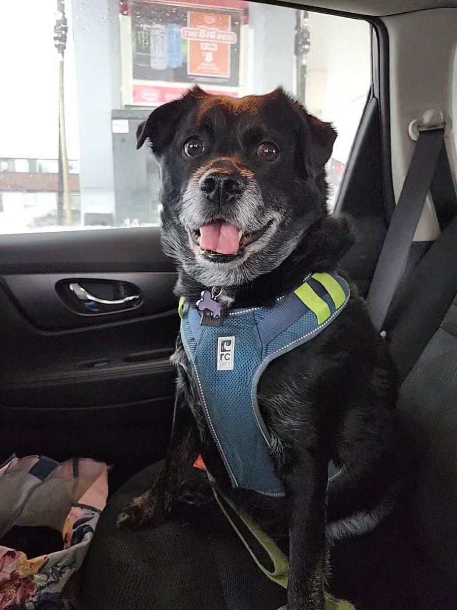 Alex Dormuth tweet media