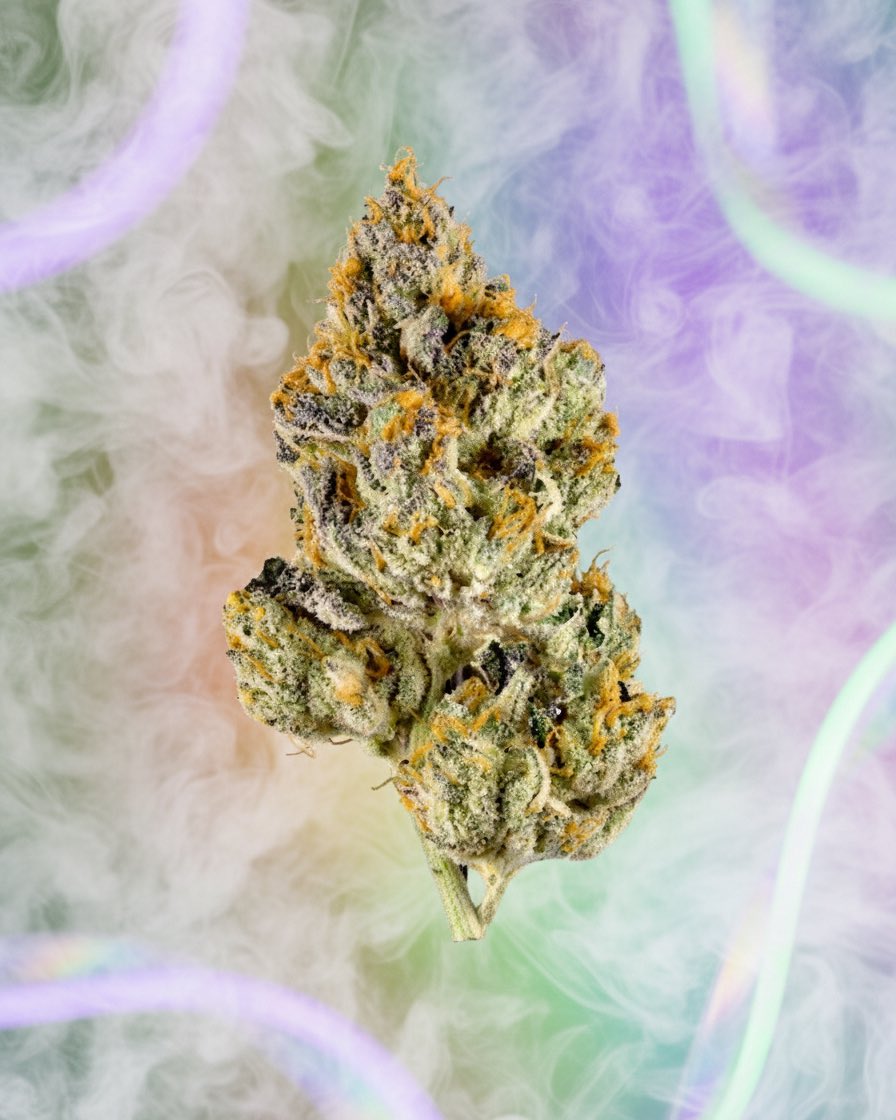 Weed Porn tweet media