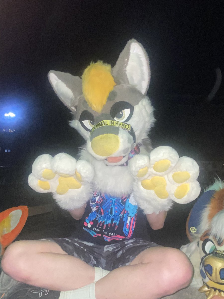 Gummi Dutchie AD🔜TFF tweet media