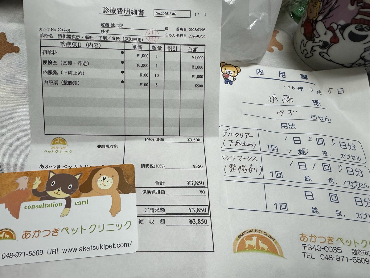 SHADOW'sえんちゃん tweet media