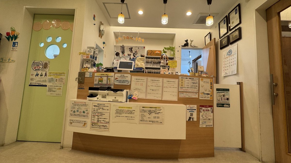 SHADOW'sえんちゃん tweet media