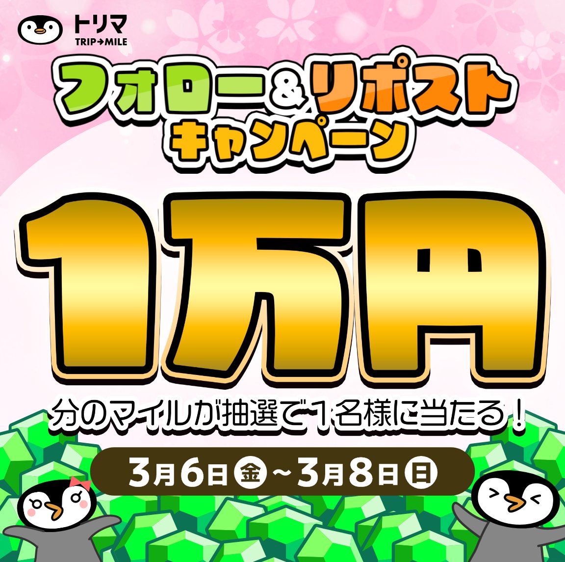 トリマ【公式】 tweet media