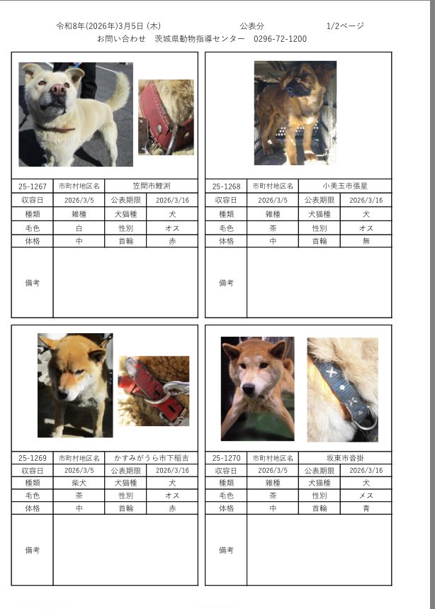 IBARAKI_Animal's tweet photo. 茨城県動物指導センターで保護している、迷子の犬猫の公表情報です。🐕🐈
お心当たりの飼い主様は動物指導センターにお電話ください‼️
動物指導センター
☎︎0296-72-1200(受付時間：平日8:30〜17:15)

3月5日（木）公表情報 https://t.co/LYo8qpA4v2