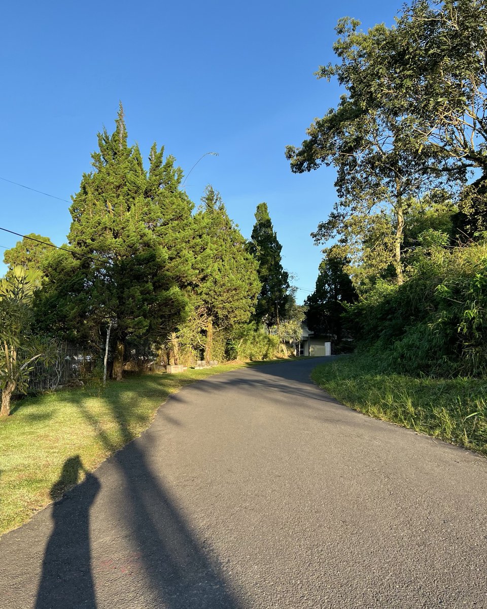 むーも tweet media