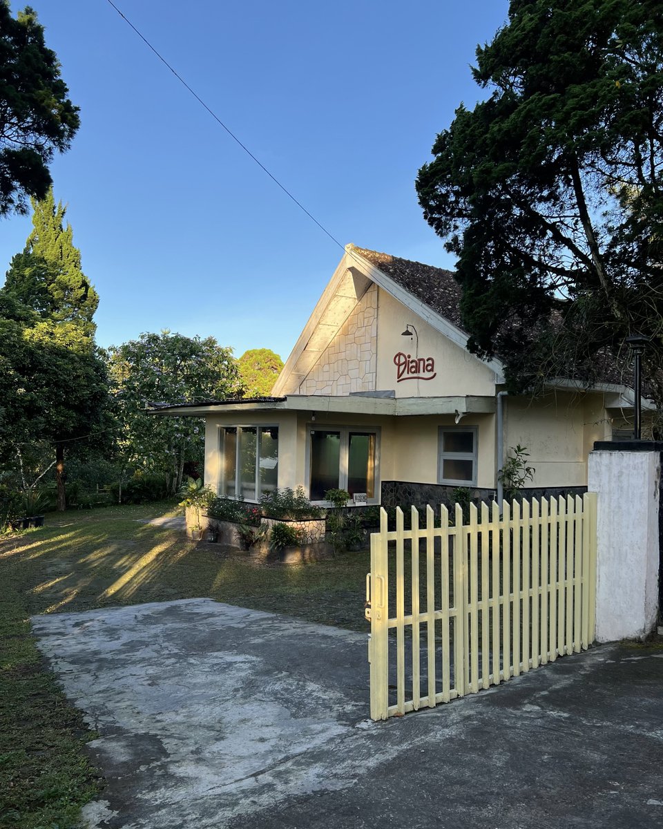 むーも tweet media