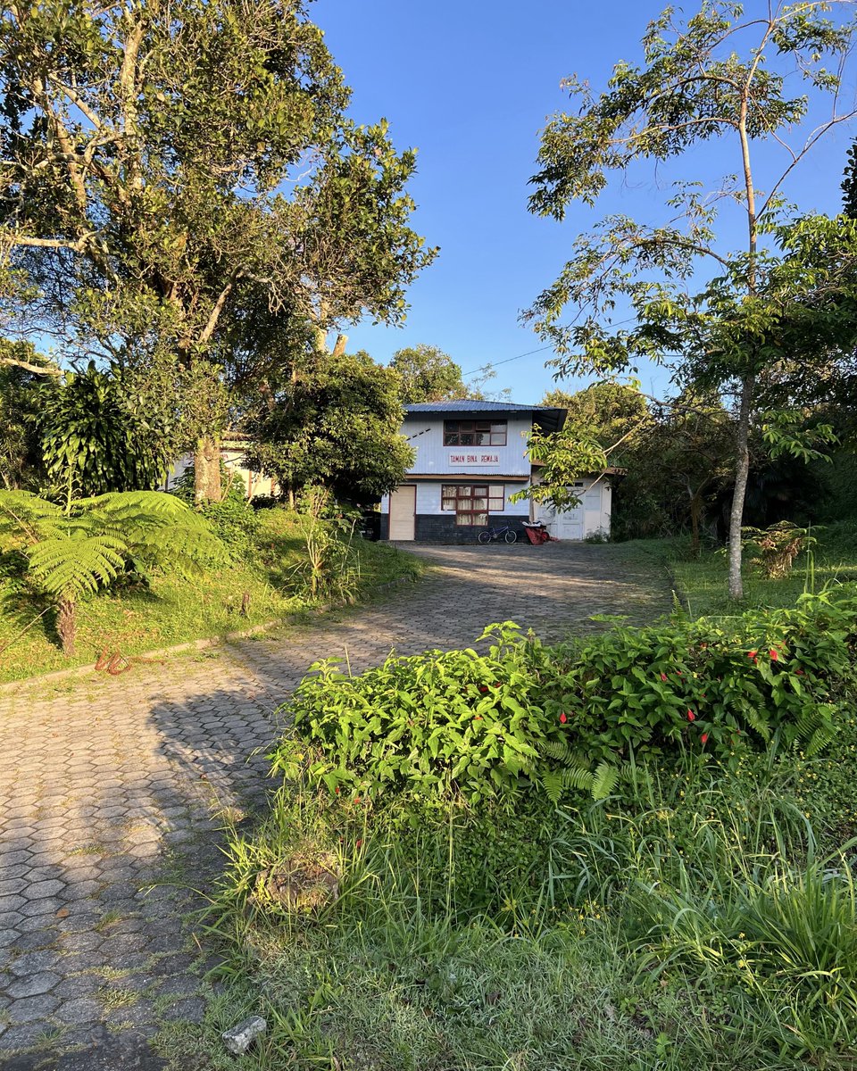 むーも tweet media