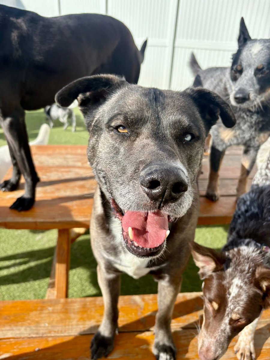 Alexys Kay tweet media