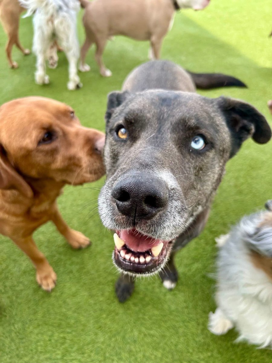 Alexys Kay tweet media