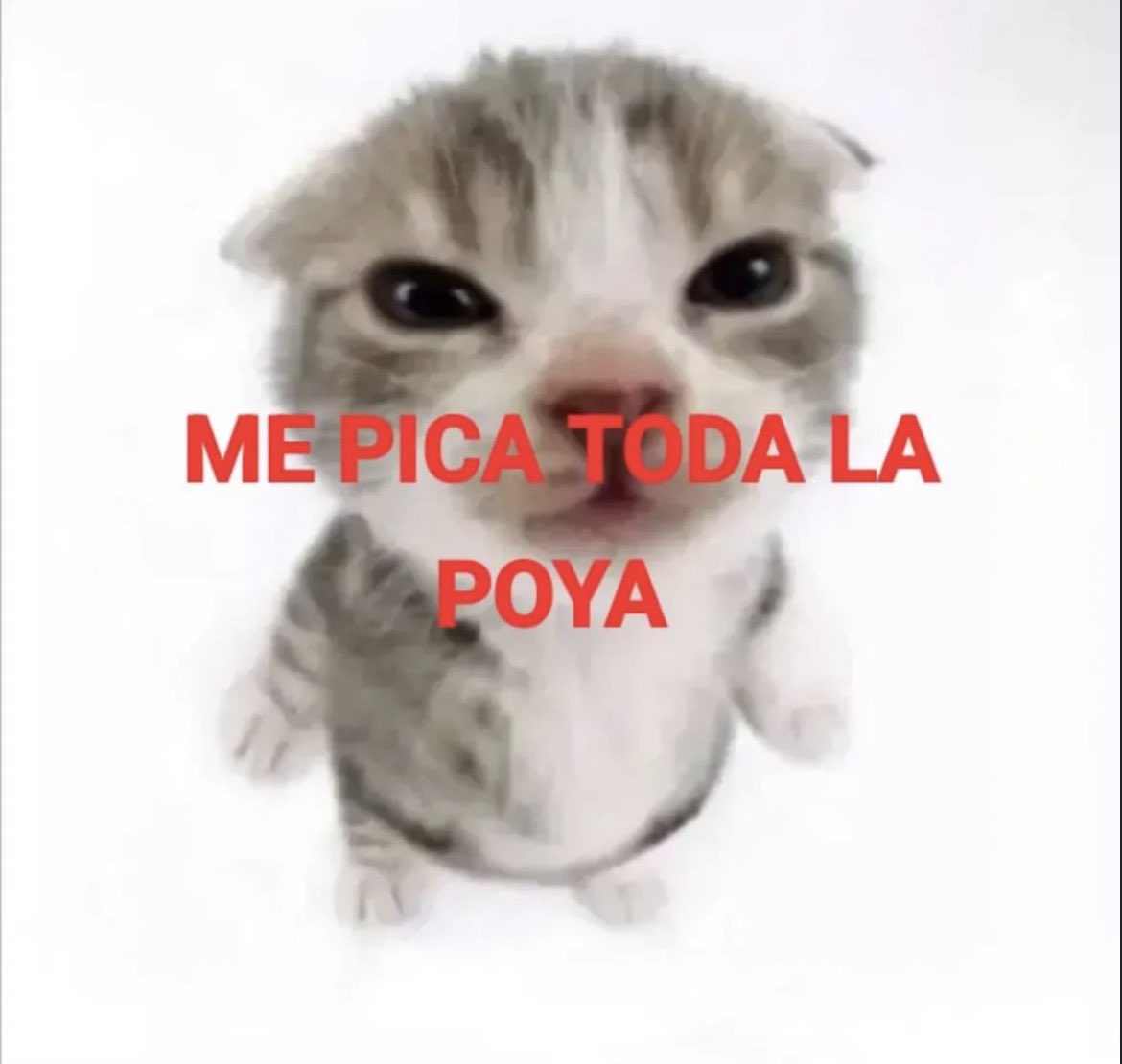 yo cuando me rasuro los web0s