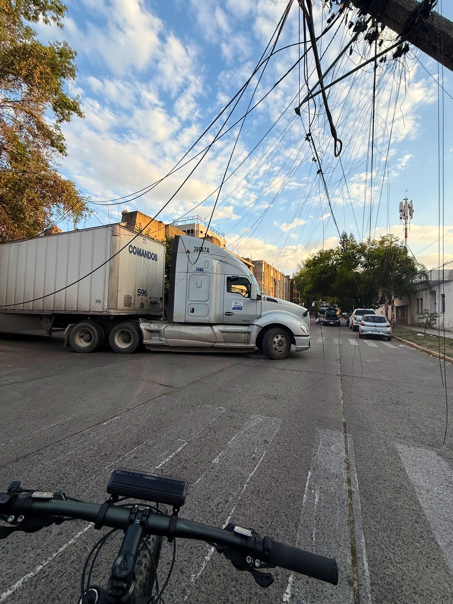 Mario Salazar tweet media