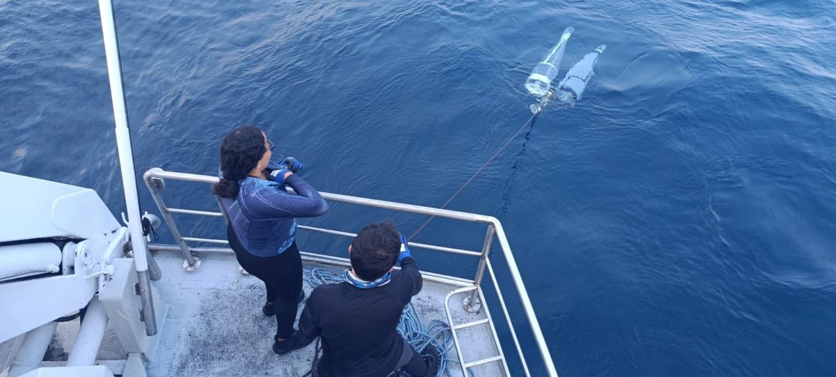 Parques Nacionales Naturales de Colombia tweet media