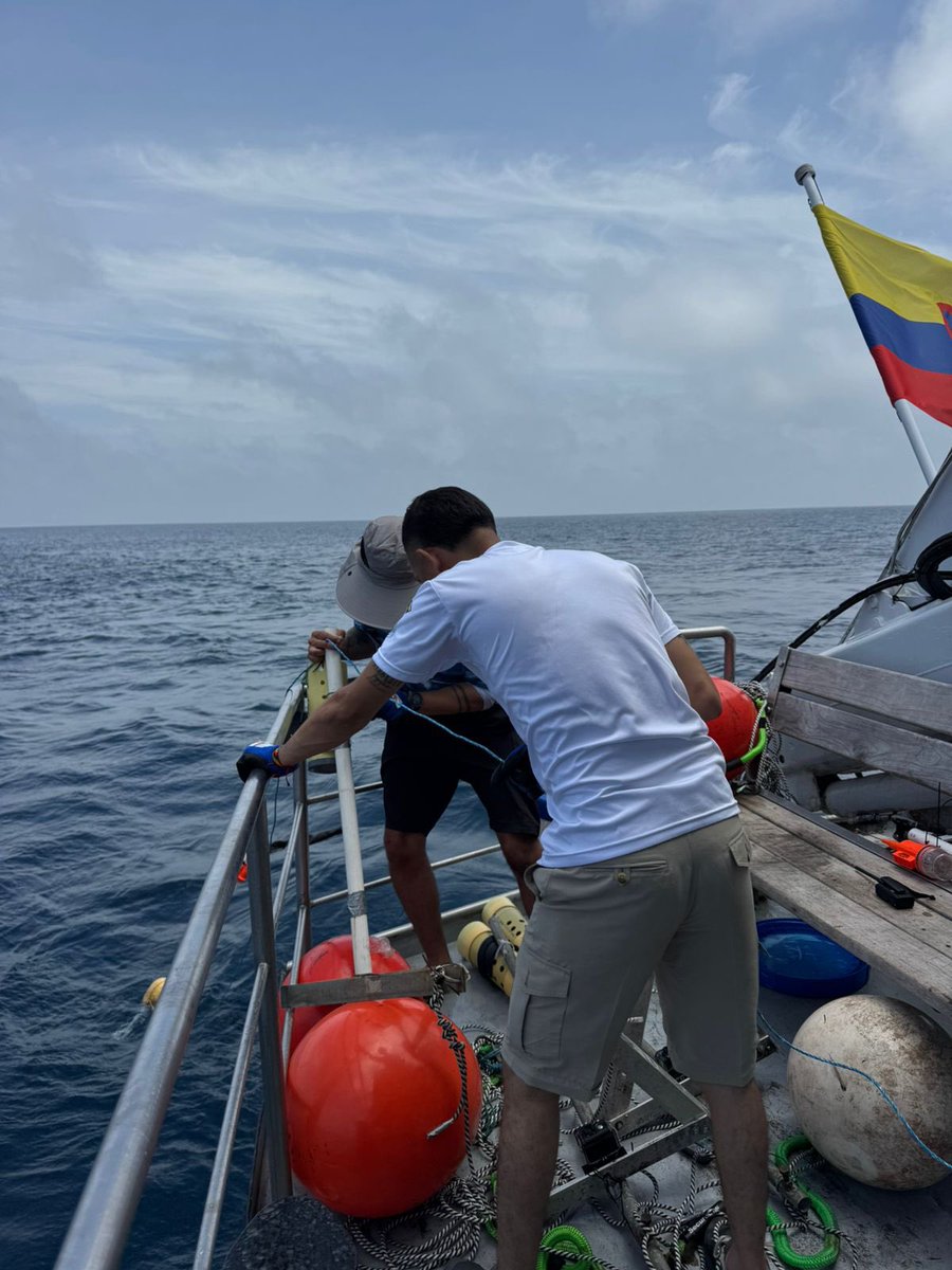 Parques Nacionales Naturales de Colombia tweet media