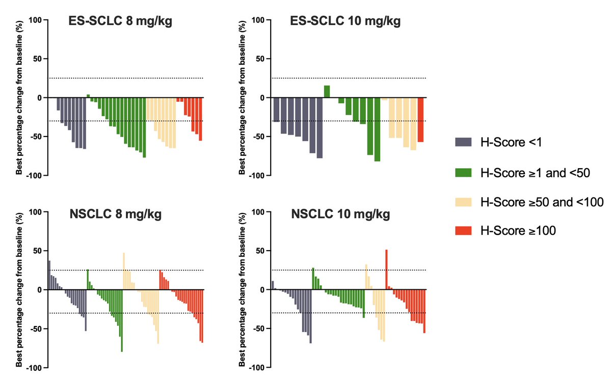 Raffaele Colombo tweet media