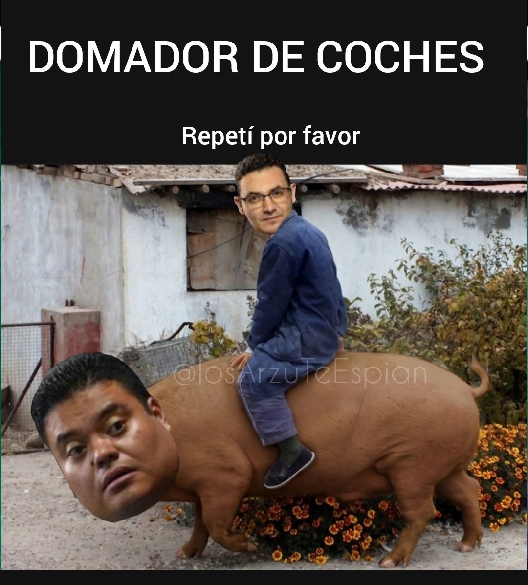 losArzuTeEspian's tweet photo. Domando coches https://t.co/b3HiWzTwc7