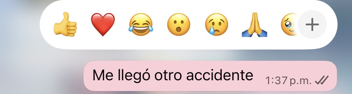 Pero bueno, la niña quería hacer rural