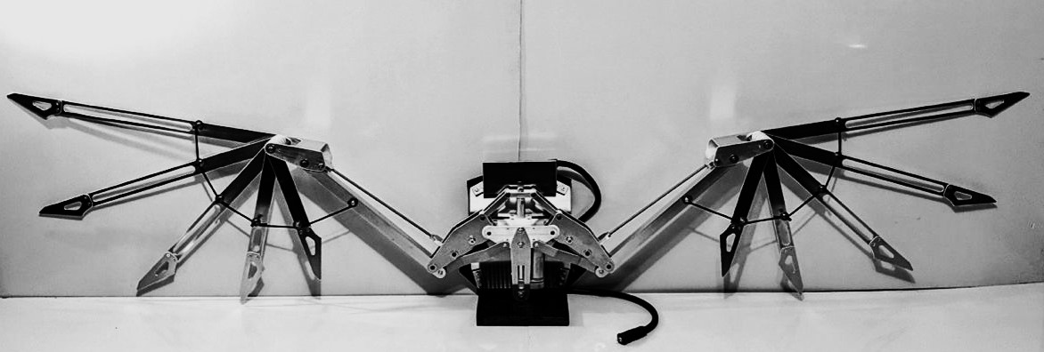 MECHANISM tweet media