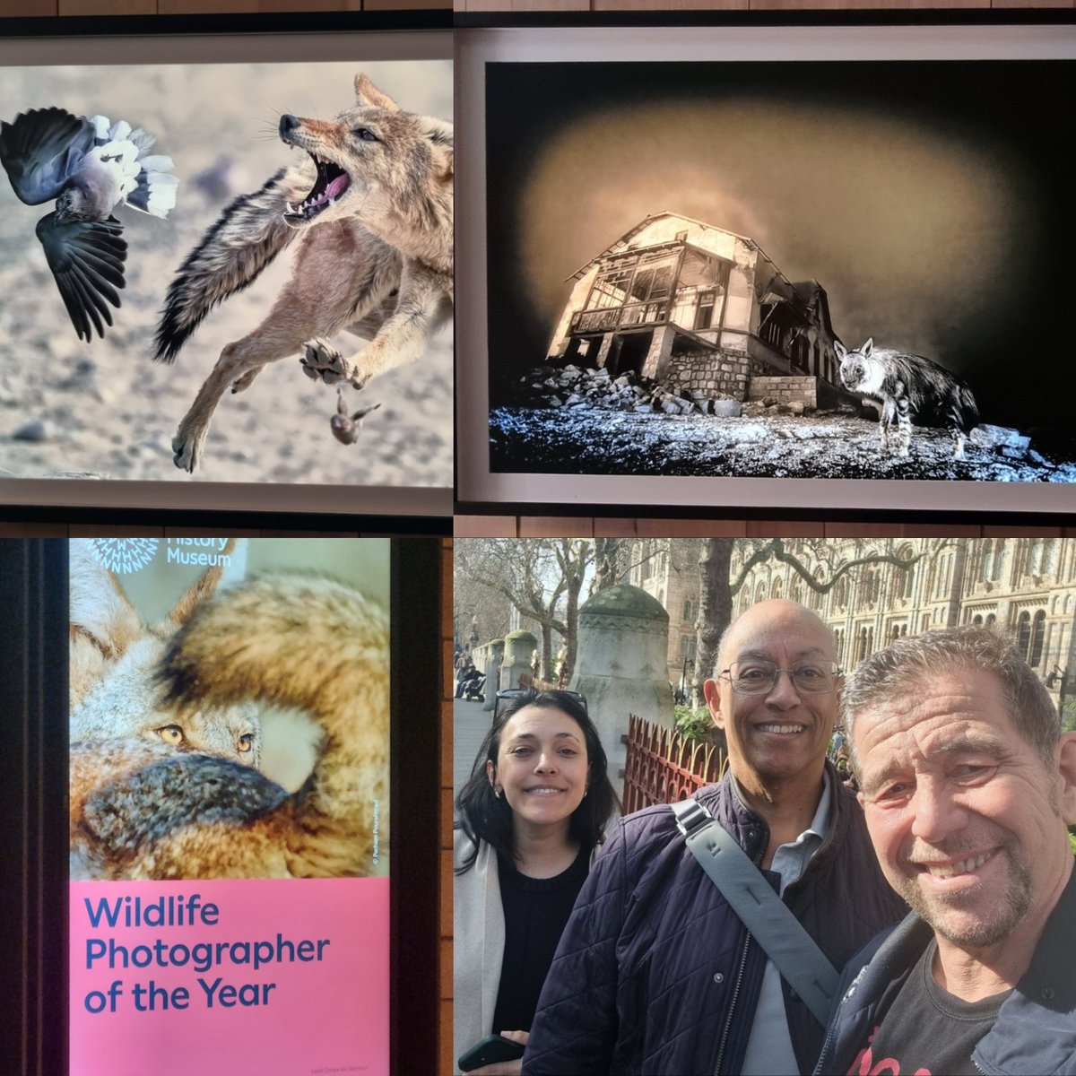 calneeagle's tweet image. Then, after lunch at Honest Burger South Ken (HB good as always), Kumar, Kat and I went to the Wildlife Photographer of the Year exhibition  at the @NHM_London 
As superb as it is every year. 

A lovely day 🙂