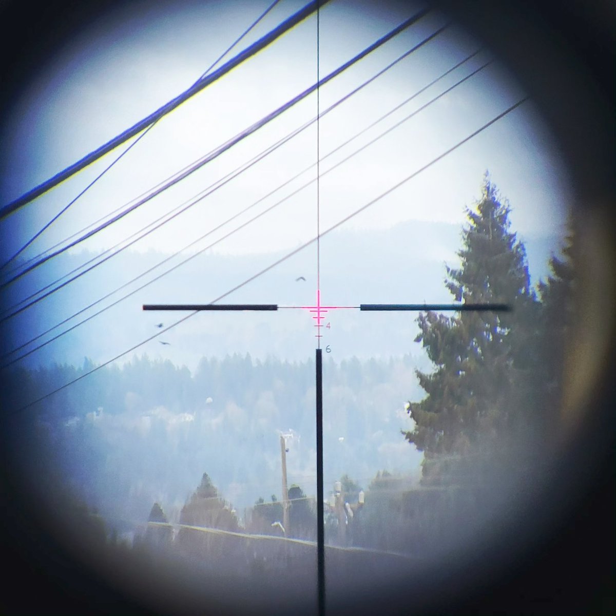 𝙏𝘼𝘾𝙏𝙄𝘾𝙊𝙊𝙇 𝙂𝙄𝙍𝙇𝙁𝙍𝙄𝙀𝙉𝘿 tweet media