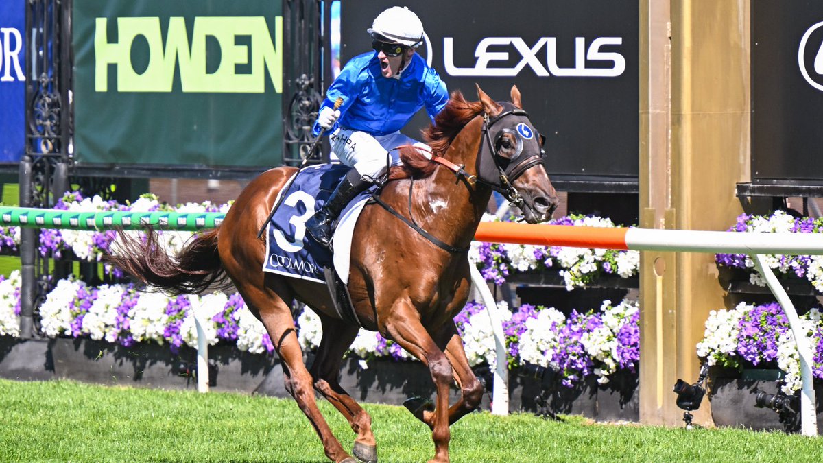 SENTrack tweet media