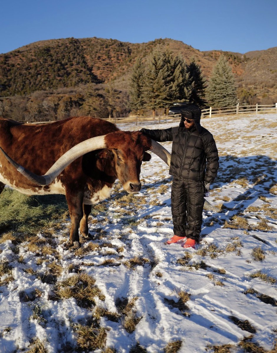 Lewis Hamilton and his pet cow, Max. 😂