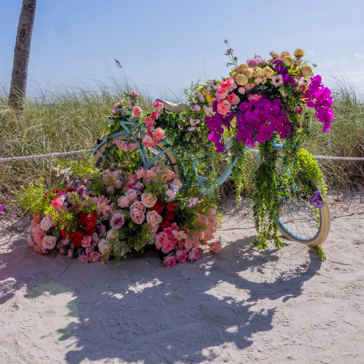 Bal Harbour Gov't tweet media