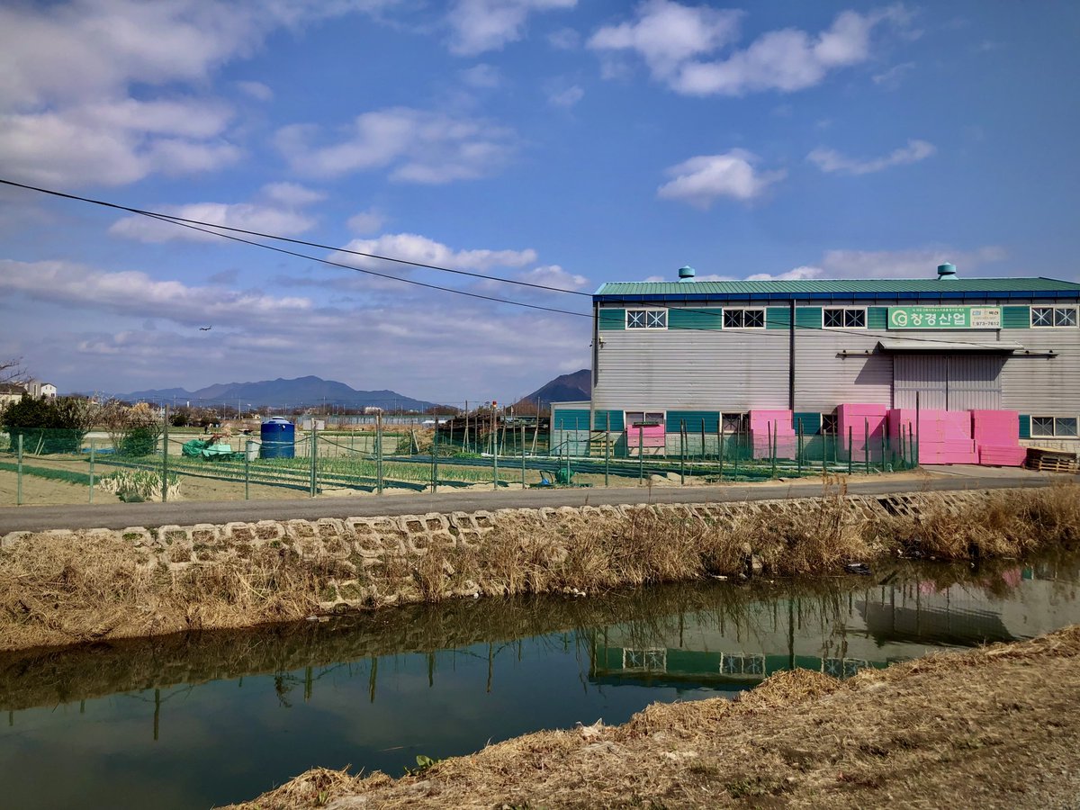 🦋오승용🍎 ⛅️ tweet media