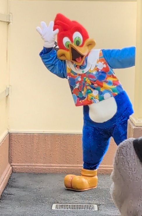 USJ初期からメインキャラクターを務めてる「ウッディー・ウッド