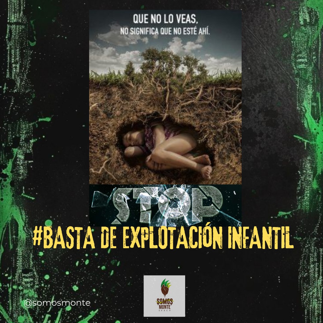 Somos MONTE Chaco tweet media