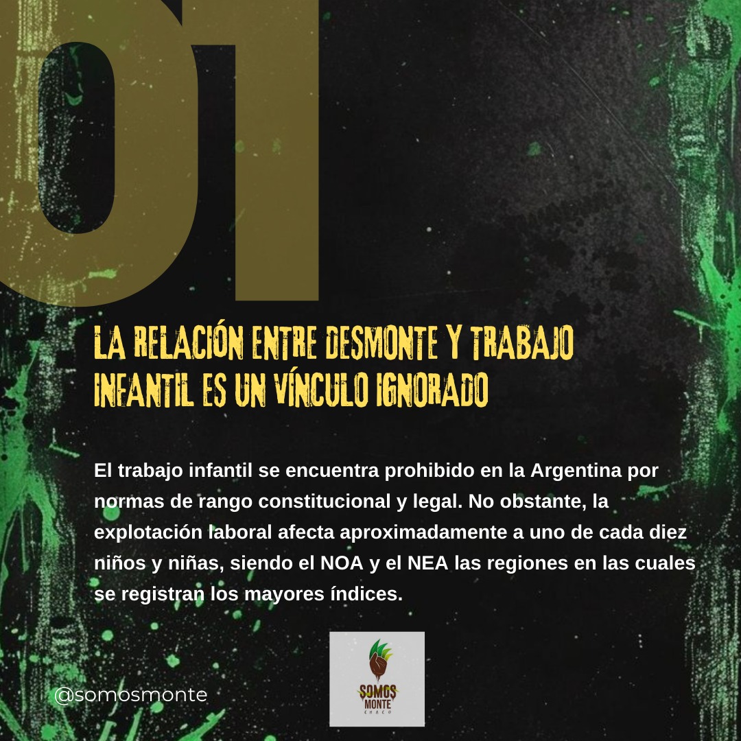 Somos MONTE Chaco tweet media