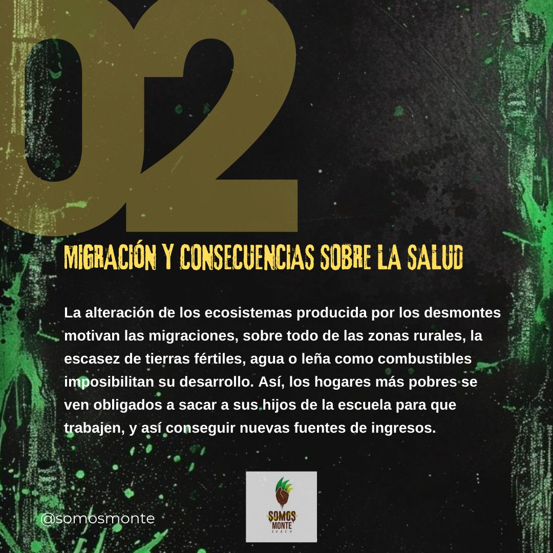 Somos MONTE Chaco tweet media