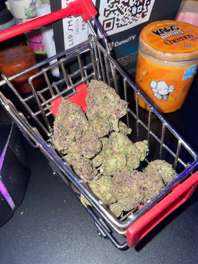 MPlug407's tweet image. Lip  Smacker 
#OrlandoExotics #Orlandogas #Mobileplug #Kissimmeeplug #Orlandoweed #Mobileplugorlando