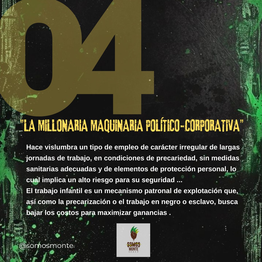 Somos MONTE Chaco tweet media