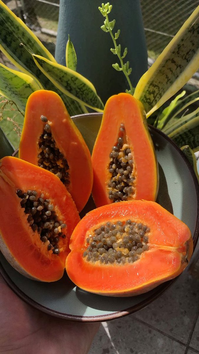 OutdoorHorizon's tweet photo. What's the fruit Name in your language? https://t.co/p8Tp9wBNJs