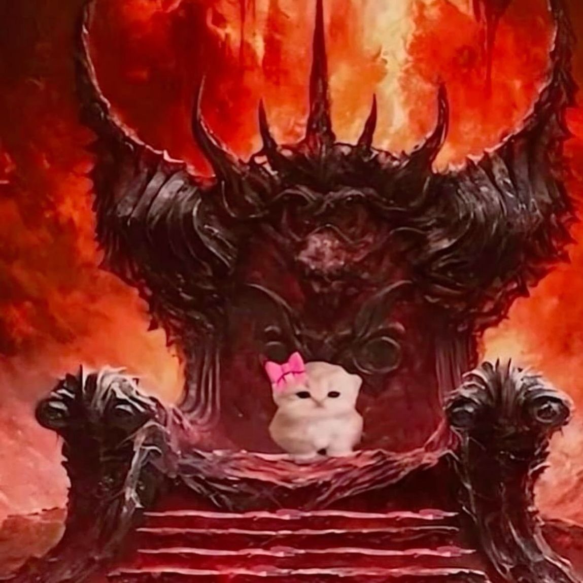 daily cats ♡ tweet media