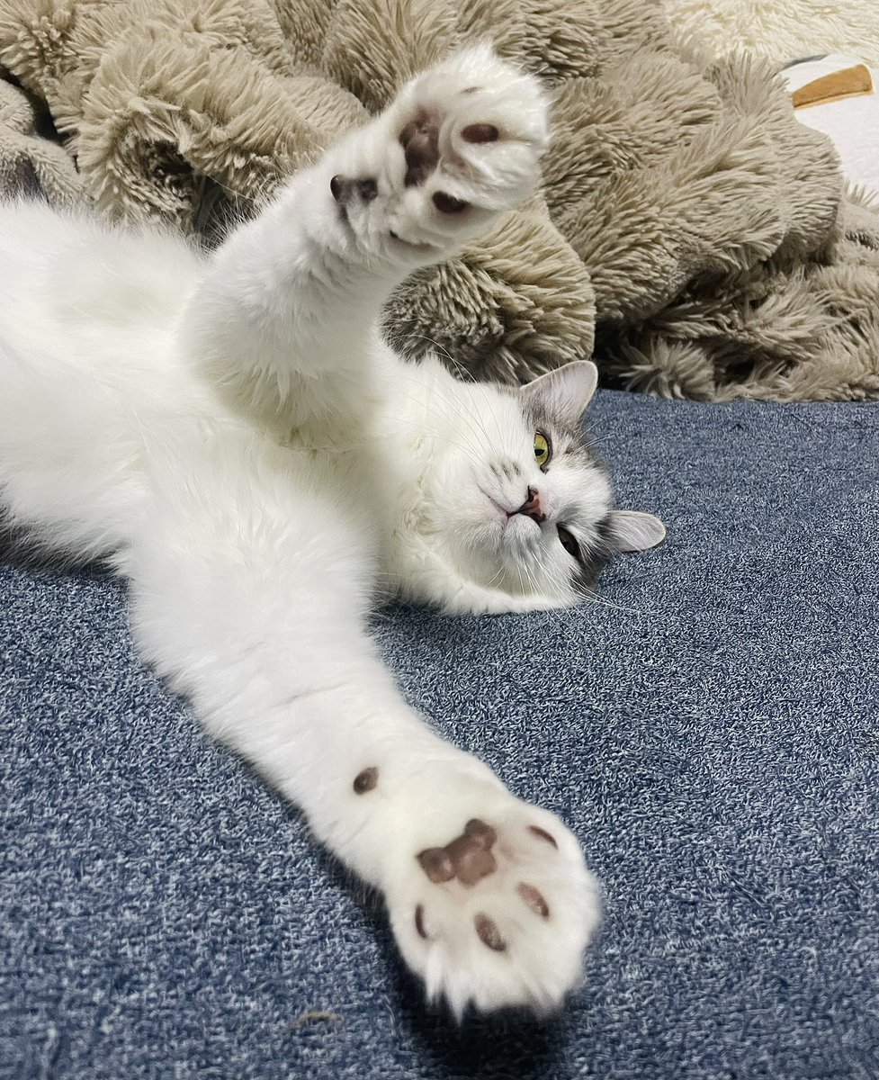 虚無顔のまま抱っこの催促やめろ笑