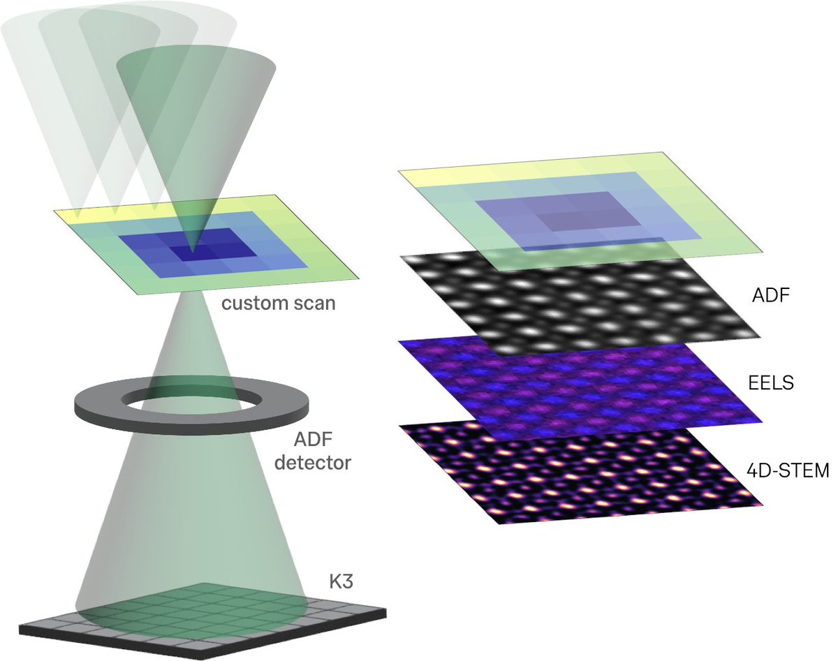 Gatan Microscopy tweet media
