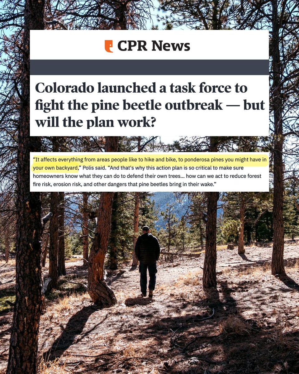 Governor Jared Polis tweet media