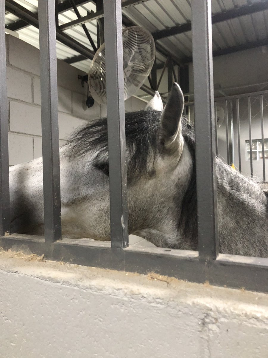 todo mundo dando oi pro mocotó!!!!