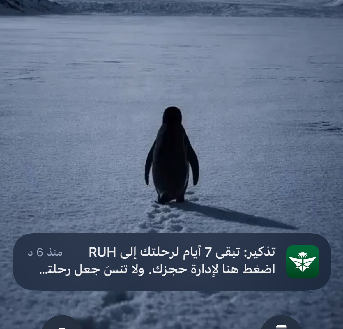 _1Dr_'s tweet photo. الاشعارات الي تفتح النفس https://t.co/d8NhycUDDZ