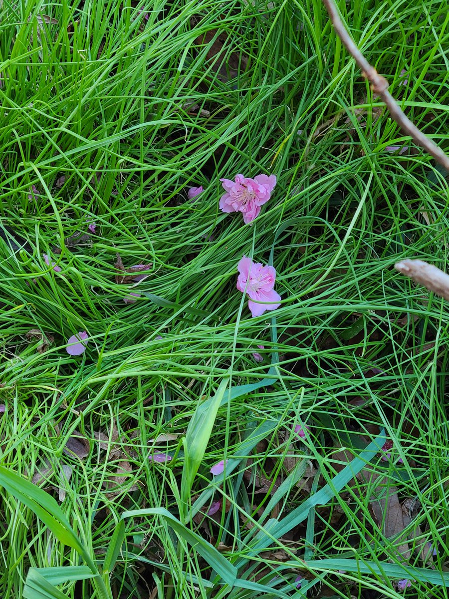 山本貴美子/kimiko yamamoto (@kimiko_art) / Posts / X