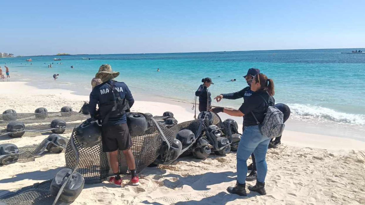 Noticaribe tweet media