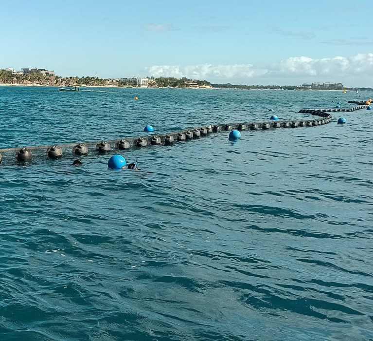 Noticaribe tweet media