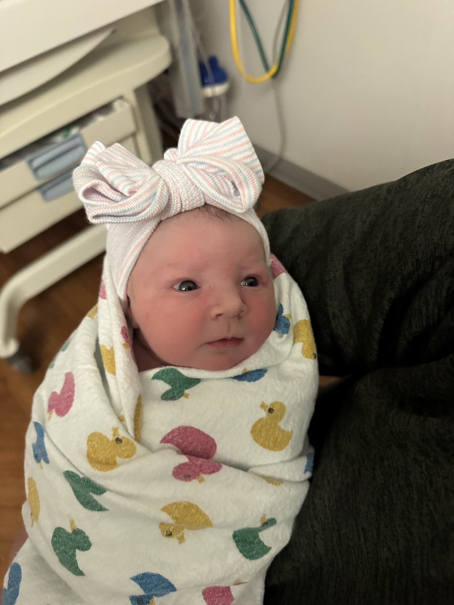 Anthony Wayne Volleyball tweet media