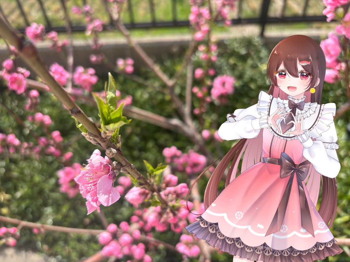 夕雛 りの🐟加太PRキャラクター (@rino0825_kada) / Posts / X