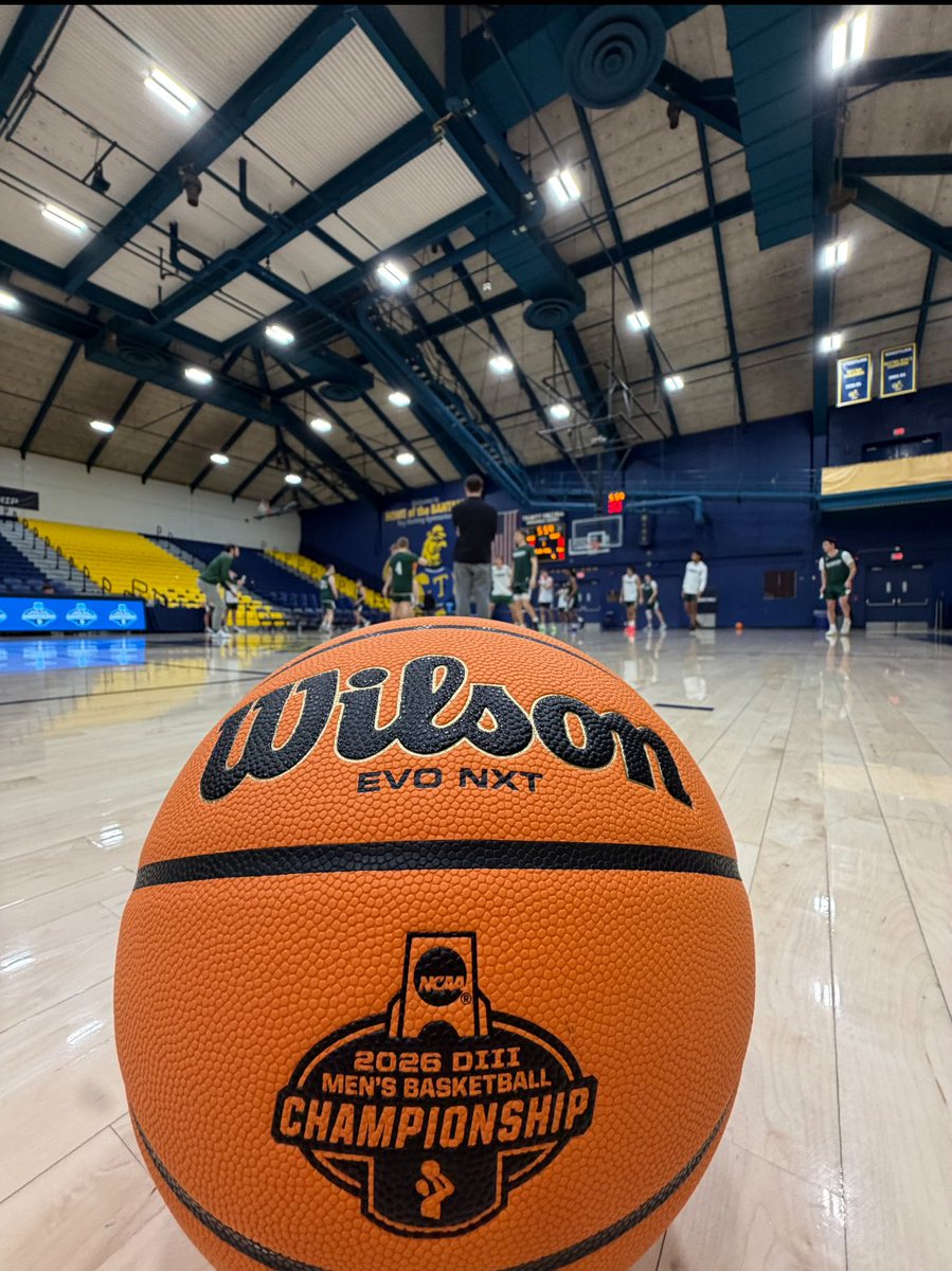 Babson Basketball tweet media