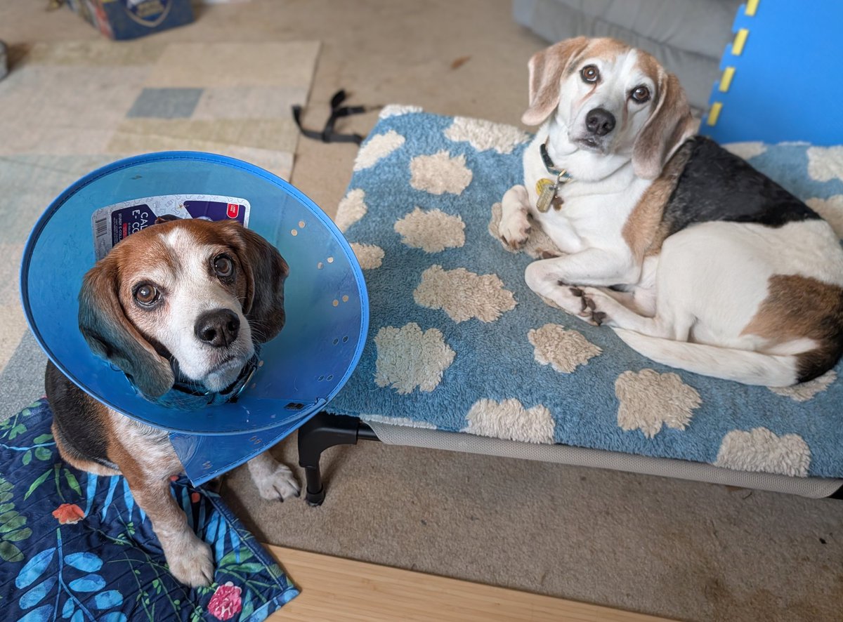 Kristin, The Normanator and 🌈 Friends tweet media