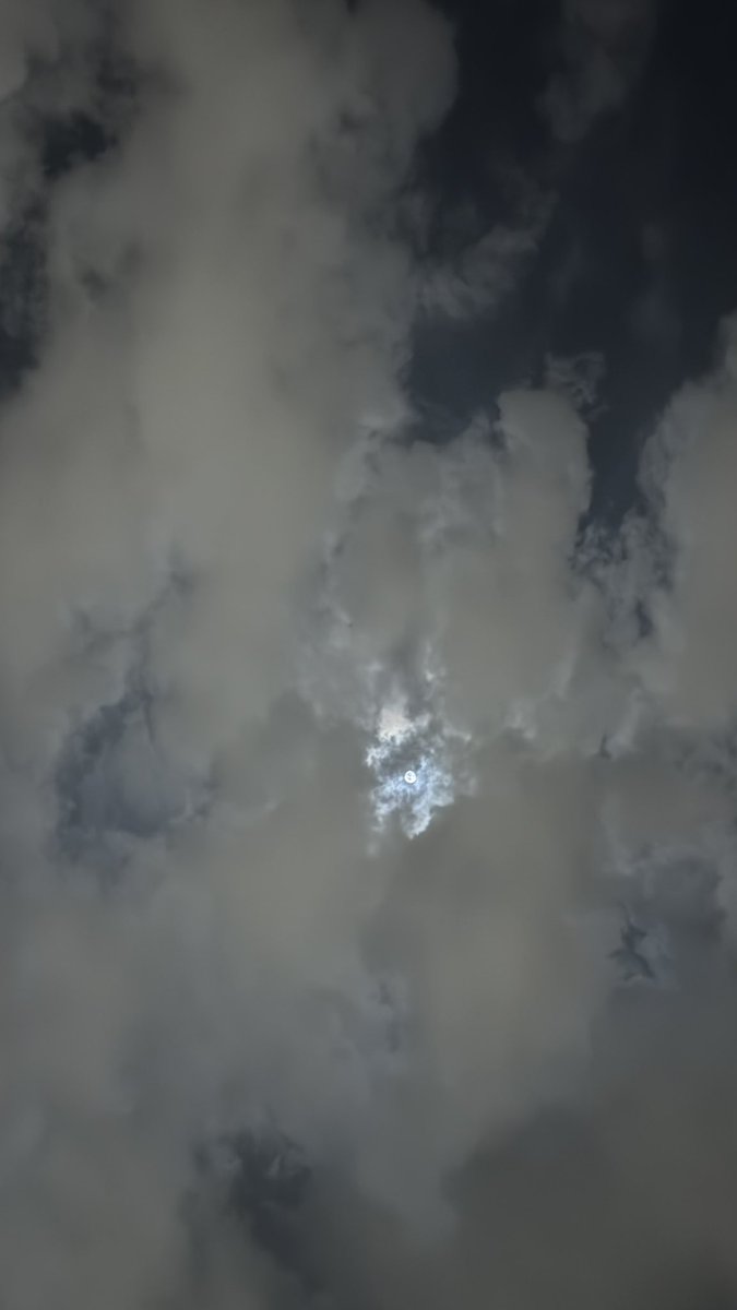 𝙱𝚊𝚝𝚘𝚘𝚕. tweet media