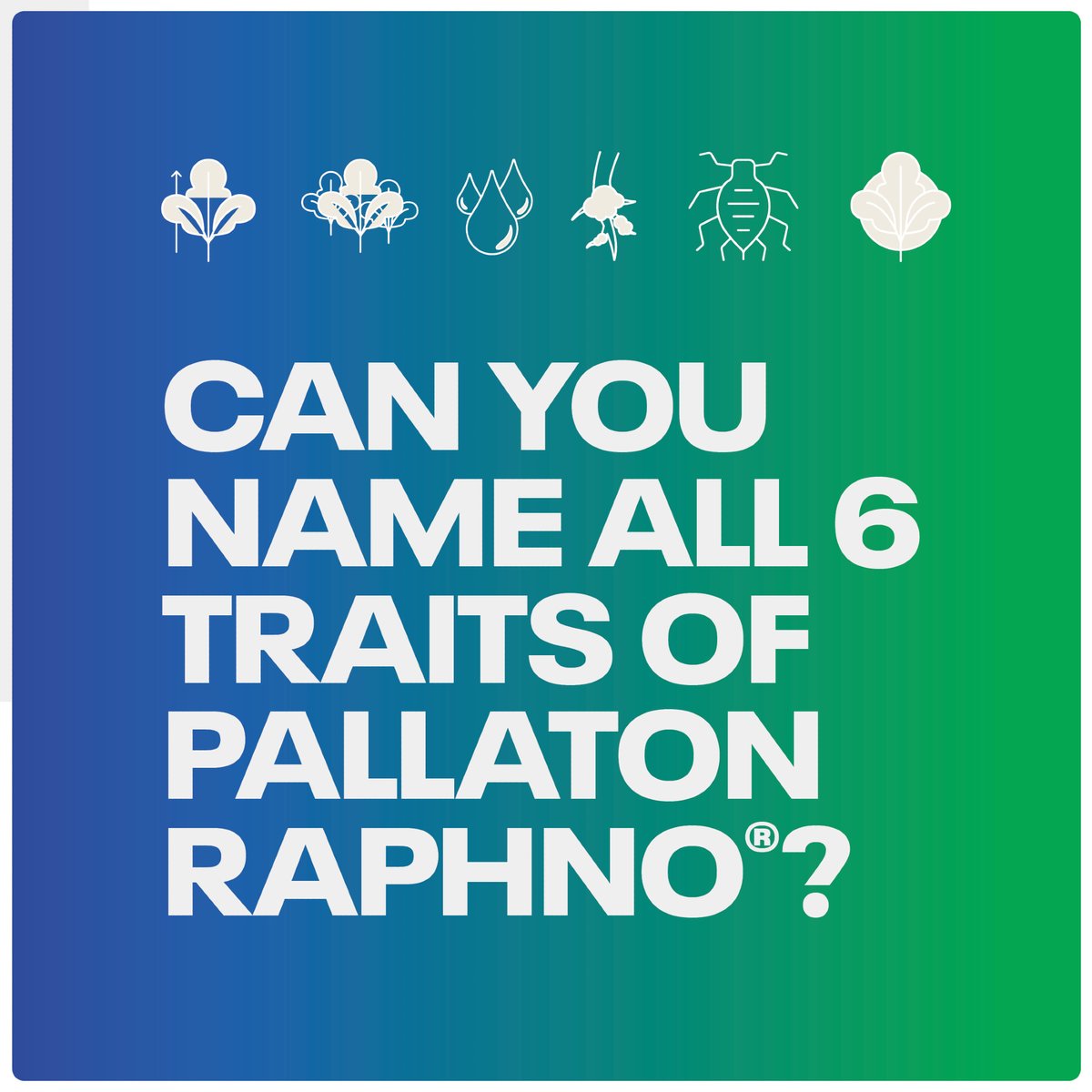 DLF Seeds tweet media