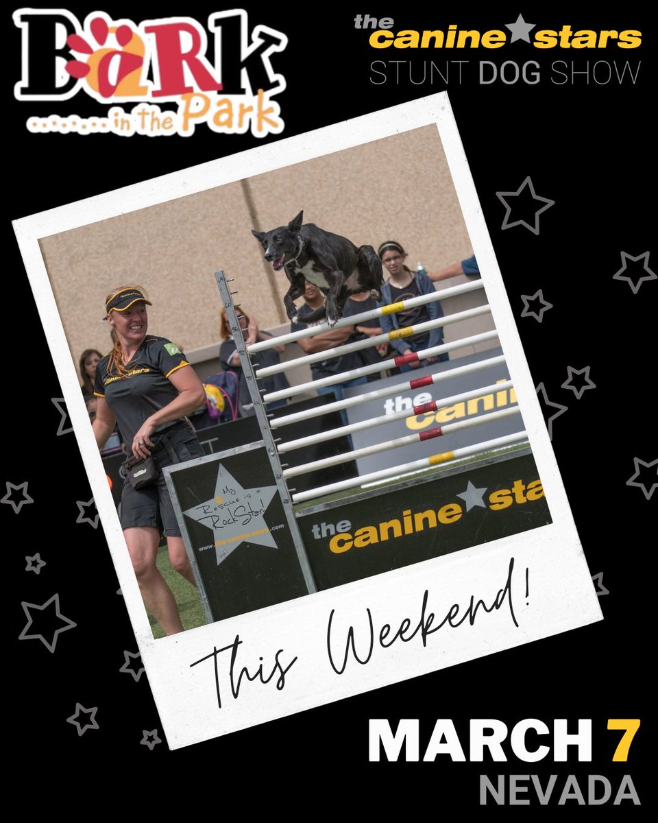 The Canine Stars tweet media